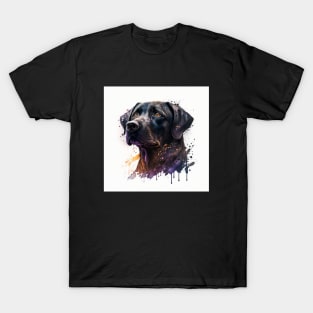 Black Labrador Design T-Shirt